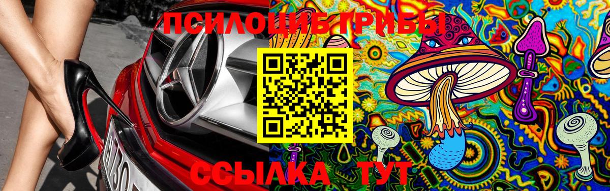 Псилоцибиновые грибы Magic Shrooms  купить закладку  Ульяновск  Вход с VPN 