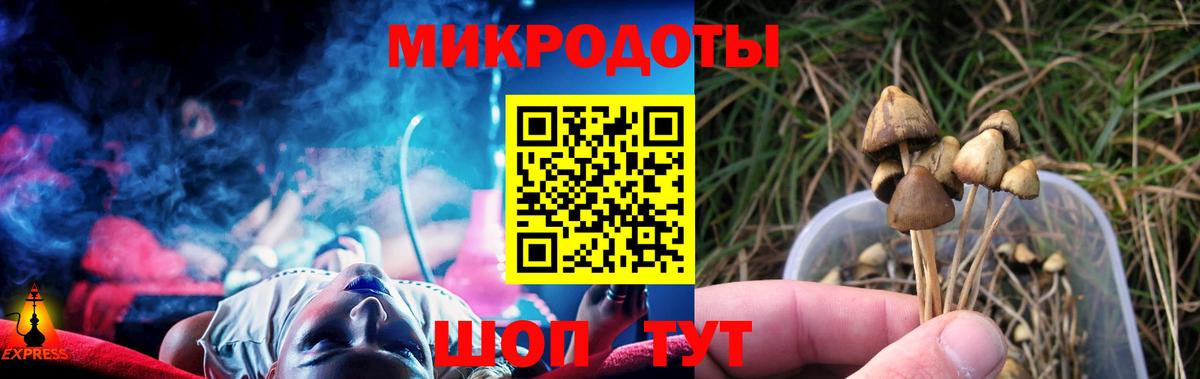 Псилоцибиновые грибы мицелий Ульяновск
